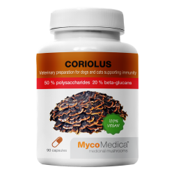 Coriolus 50% - Preparat weterynaryjny - MycoMedica