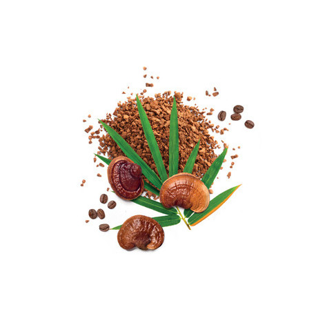 MycoLatte - kawa rozpuszczalna wzbogacona Reishi - MycoMedica