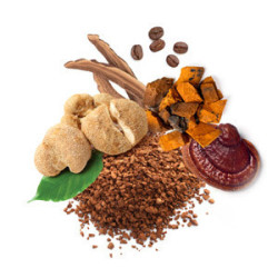 MycoCoffe - kawa rozpuszczalna wzbogacona grzybami witalnymi - MycoMedica