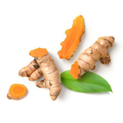 MycoGolden - napój bezkofeinowy wzbogacony Reishi i Ashwagandhą - MycoMedica