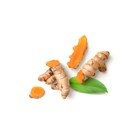 MycoGolden - napój bezkofeinowy wzbogacony Reishi i Ashwagandhą - MycoMedica