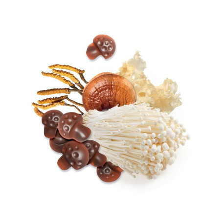 MycoGummies - żelki wspierające odporność - Suplement diety - MycoMedica