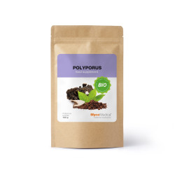 BIO Polyporus w proszku - Suplement diety - MycoMedica - 100 g