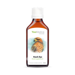 Nalewka Qi Ju Di Huang Wan - 131 Sokoli wzrok - YaoMedica