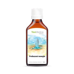 Nalewka Bu Zhong Yi Qi Tang - 006 Przebudzenie energii - YaoMedica