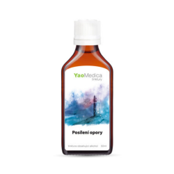 Nalewka Du Huo Ji Sheng Tang - 009 Wzmocnienie wsparcia - YaoMedica