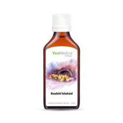 Nalewka Gui Zhi Fu Ling Wan - 012 Rozbijanie blokad - YaoMedica