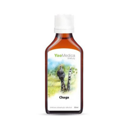 Nalewka Chaga - 030 - YaoMedica