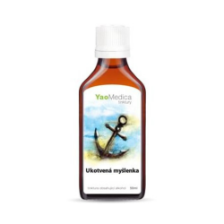 Nalewka Gui Pi Wan - 042 Zakotwiczona myśl - YaoMedica