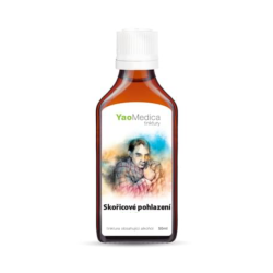 Nalewka Gui Zhi Tang - 050 Cynamonowa pieszczota - YaoMedica