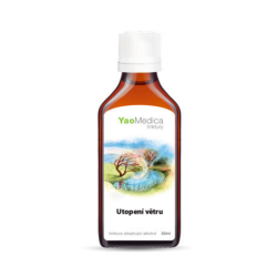 Nalewka Tian Ma Gou Teng Wan - 088 Utonięcie wiatru - YaoMedica