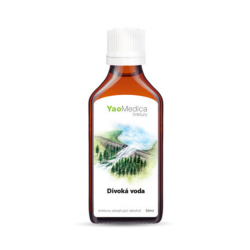 Nalewka Huo Xiang Zheng Qi Pian - 090 Dzika woda - YaoMedica