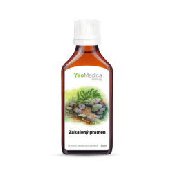 Nalewka Li Shui Pai Shi Pian - 093 Mętne źródło - YaoMedica