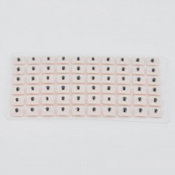 Ziarno Vaccaria na plastrze - 60 sztuk