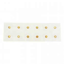 Plastry z magnesami o mocy 6000 Gauss'ów pokryte 24k złotem 12 szt.